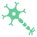Multiple Sclerosis MS